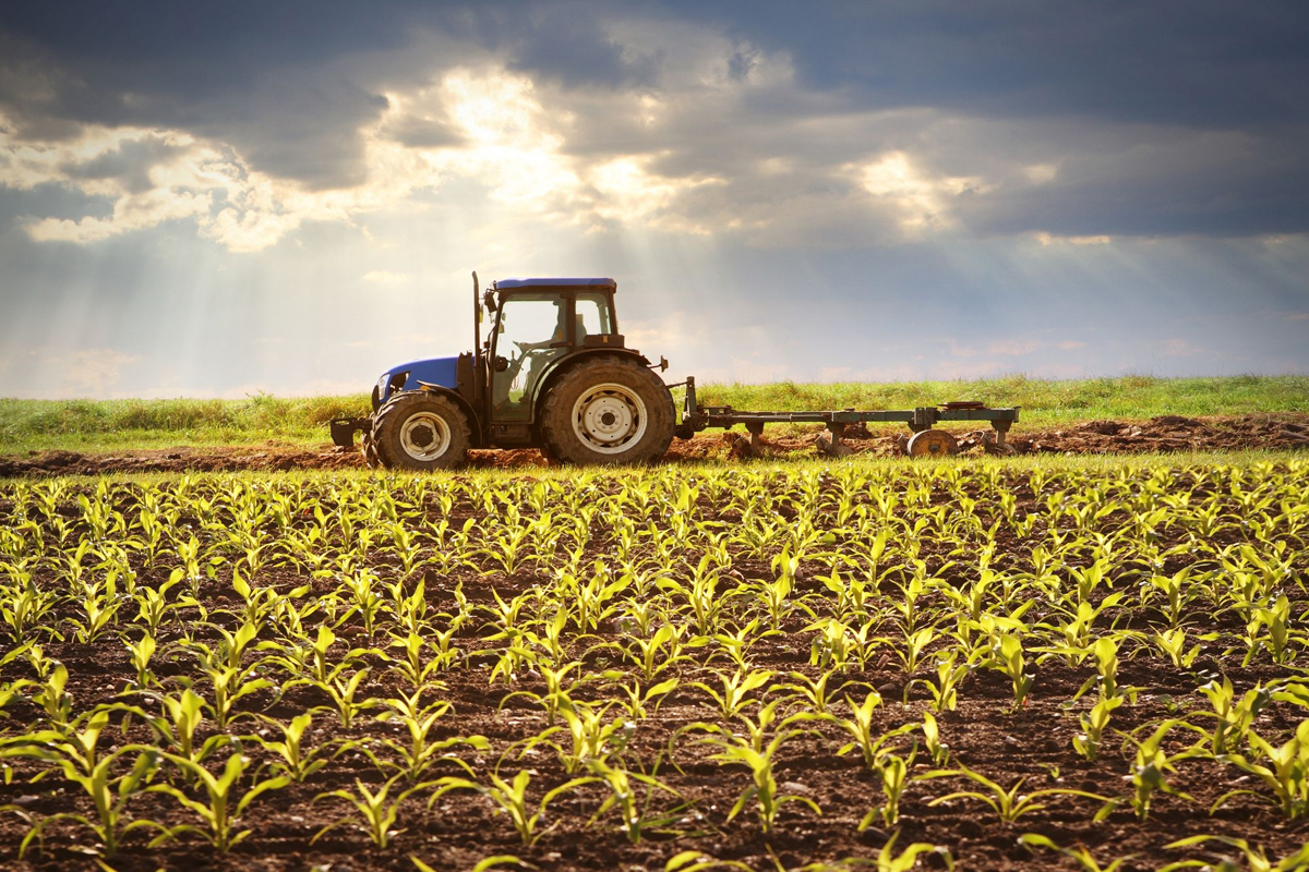Agribusiness
